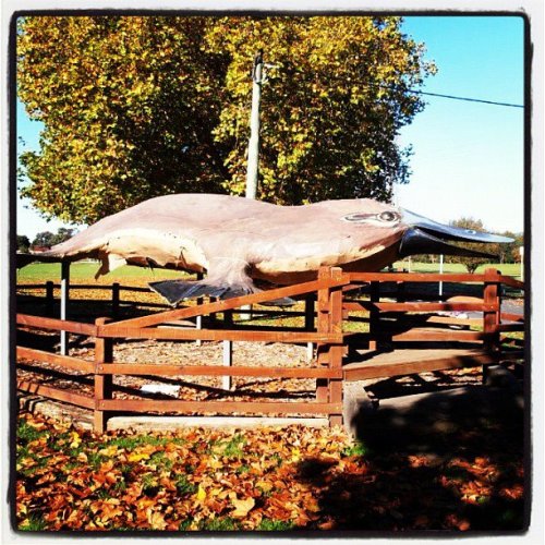 vintagegeekculture:  Giant Platypus statue in Tasmania, Australia.