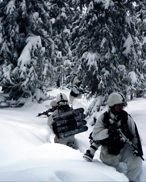 Swedish K4 regiment (Norrland Dragoon Regiment).