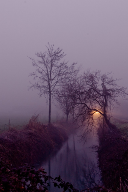 atraversso:  Fog  by Federico Ciati  
