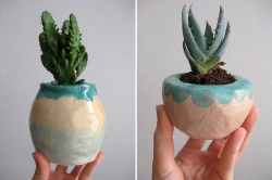 entoxicating:  plant-faery:  coil pot + pinch