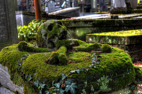 sixpenceee:A skull gravestone overgrown with moss. This is located in Brugge General Cemetery in Bel