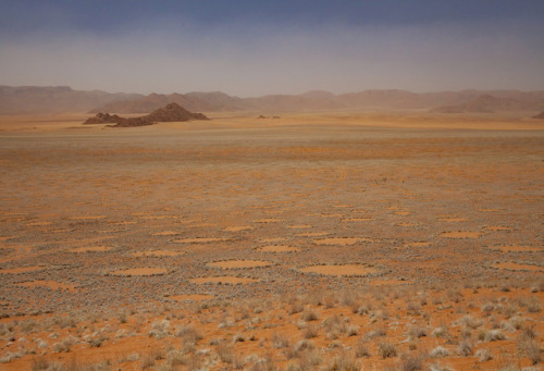 A mathematician uses math and ecology to try to solve the mystery of the Namibian fairy circles.&nbs