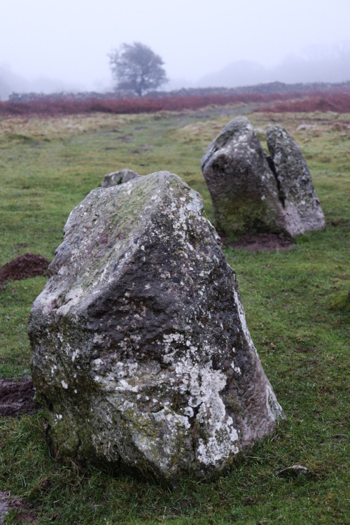 thesilicontribesman:Birkrigg Stone Circle, near Ulverston, Lake District on the Winter Solstice 2017