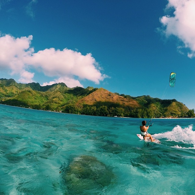 ❁ Mahalo ❁