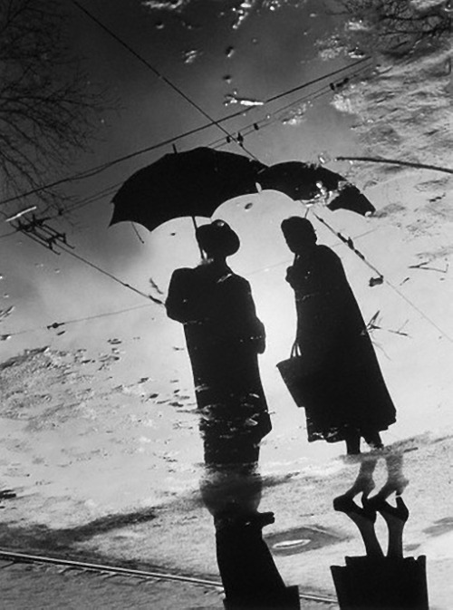 man and woman (silhouette) with umbrella, n.d. [original]
© dr. paul wolff & alfred tritschler