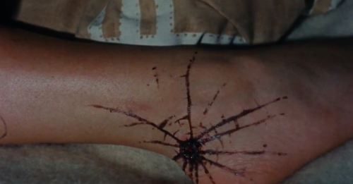 The Evil Dead (1981)