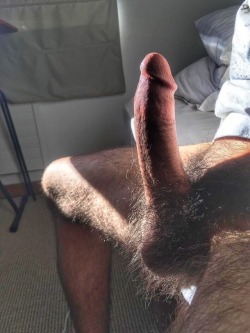 robinhorny:  youroralbuddy:  Ave Phallus