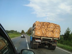 thingsfittingperfectly:  This truck driver’s