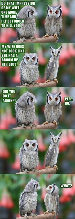 hilarioushumorfromouterspace:  Stay away from this blog if you hate laughing! 