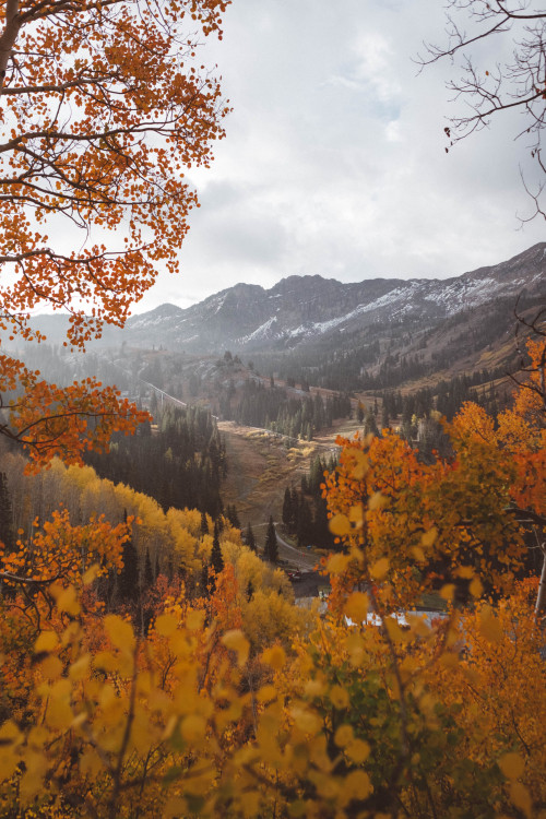 jakeallisonphoto: Devil’s Castle framed by fall colorsig: @thejakeallison