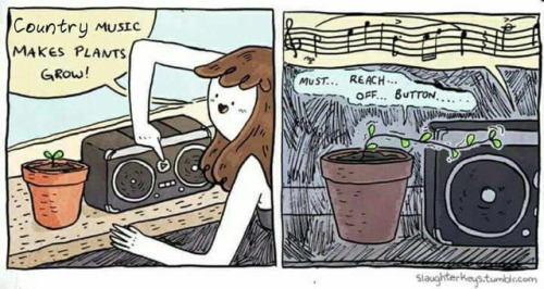 forthelullz:Alternative gardening. Like and reblog if you agree!Follow forthelullz for more funny pi