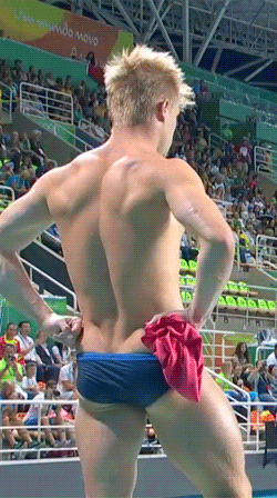 🐧 You Must Be Gay+ To View This Blog*