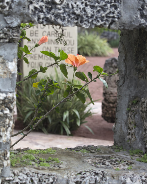 textless:Coral Castle, Homestead, FloridaRight from Florida City on State 205 is ED’S PLACE (10 c.),