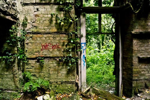 abandoned-playgrounds:  …Baron Hill Estate was built in 1618 at the request of the Richard Bulkeley. In 1776, architect Samuel Wyatt re-designed the mansion in a Neo-Palladian style. By World War I, the Bulkeley family moved from the mansion and no