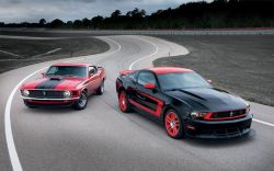 Ford Mustangs