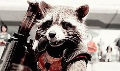 MCU Meme - eight characters; [2/8] Rocket Raccoon