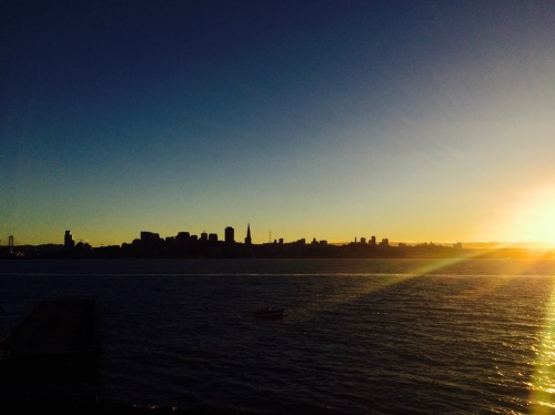 1T. Treasure Island Came for a fantastic music festival and this is the view of San Francisco from T