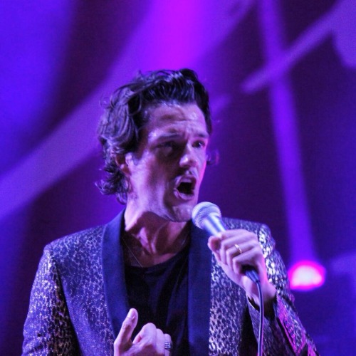 iloveyoudansmith:  Brandon Flowers, Hellow Fest 2015 
