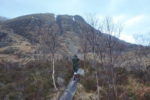 Scotland 8/3/15 adult photos