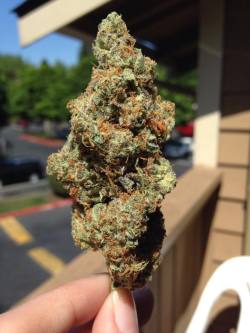 kuush-queen:  chronicwarriorqueen:  kuush-queen:  Cookies &amp; Creme    Damn gurl  Was sooo dank.