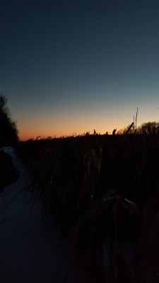 thingssthatmakemewet:Beautiful winter day hunting with @mossyoakmaster ended with a beautiful sunset 🥰🌞💖 It was a gorgeous day in the woods baby🥰😘
