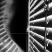 its-always-the-quiet-girl-deact:Bathed in Light.
