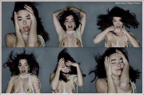 XXX Bjork photo