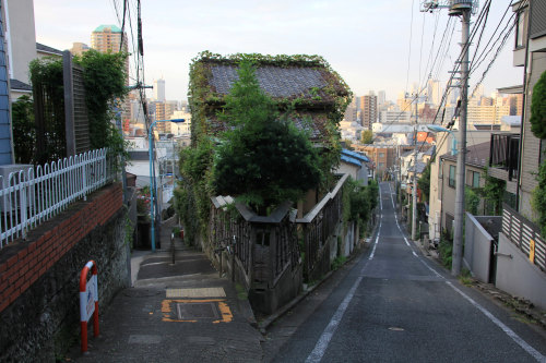 uroko:    Tokyo - 池袋・雑司ケ谷・目白・大塚・巣鴨  