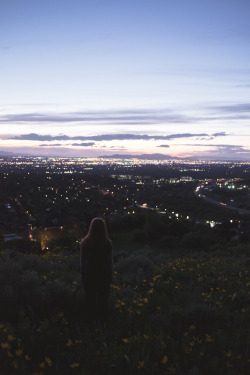 jakeallisonphoto:  Blue hour ft. Chloe and some flowersInstagram // Flickr // Prints