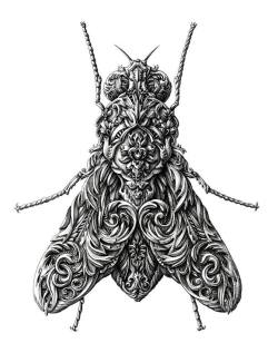 actegratuit: Renaissance-Style Insect Drawings by Alex Konahin 