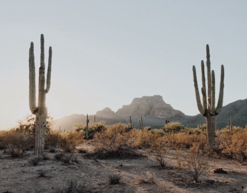 highwaykind: Americana Moodboard: The Southwest