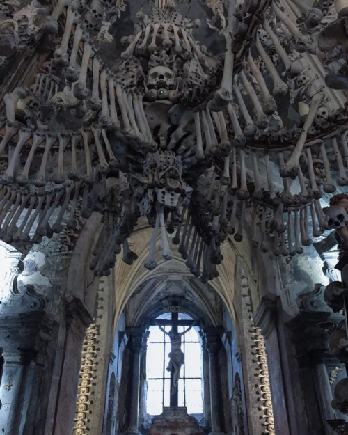 speciesbarocus:Sedlec Ossuary.