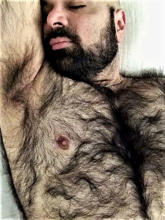 hairyobsessionss:BBB BIG BEEFY BEAR https://hairyobsessionss.tumblr.com/Hairy Furry Men