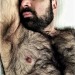 hairyobsessionss:BBB BIG BEEFY BEAR https://hairyobsessionss.tumblr.com/Hairy Furry Men