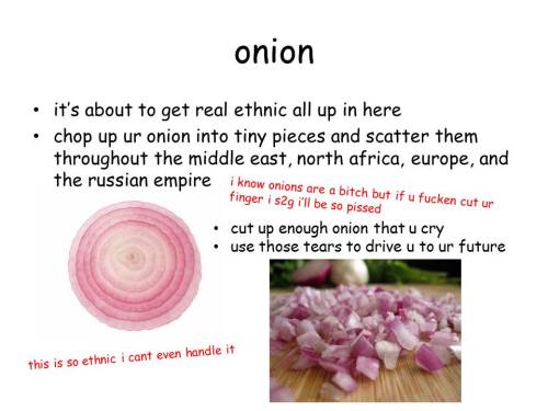 zaatarwitholives: somedumbindiething: how to make Israeli-Palestinian conflict salad: a PowerPoint g