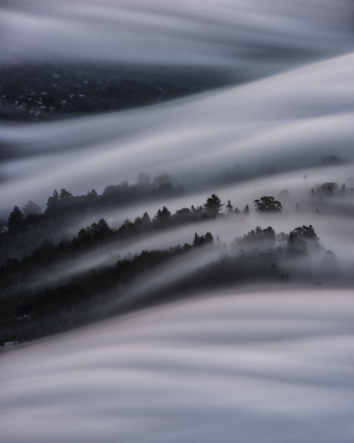 el-mo-fo-to: vaporscapes ・i | marin county, california A series of long exposure fog photos I’