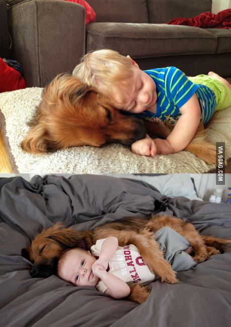9gag:  She’ll bite they said…9 months later still only kisses.