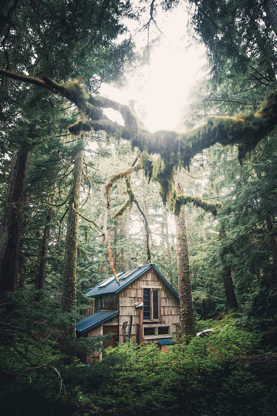 banshy:  Cypress Mountain // Konsta Punkka  