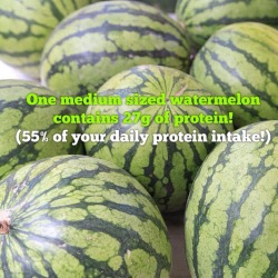 veganlove:  Watermelon is amazing!   One