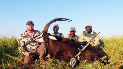 John Mogle of Hunting Illustrated shot this great Sable in Mozambique with his Fierce Edge rifle.