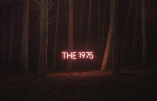 // T H E 1 9 7 5 //