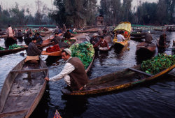 20aliens:  INDIA. Jammu and Kashmir. Srinagar. 1999. Dal Lake. Scores of shikaras laden with fruits and vegetables jostle for space on Dal Lake. Steve McCurry 