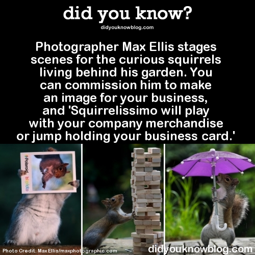 did-you-kno:  did-you-kno:Source  Oh shit!  It happened. The squirrels are reading