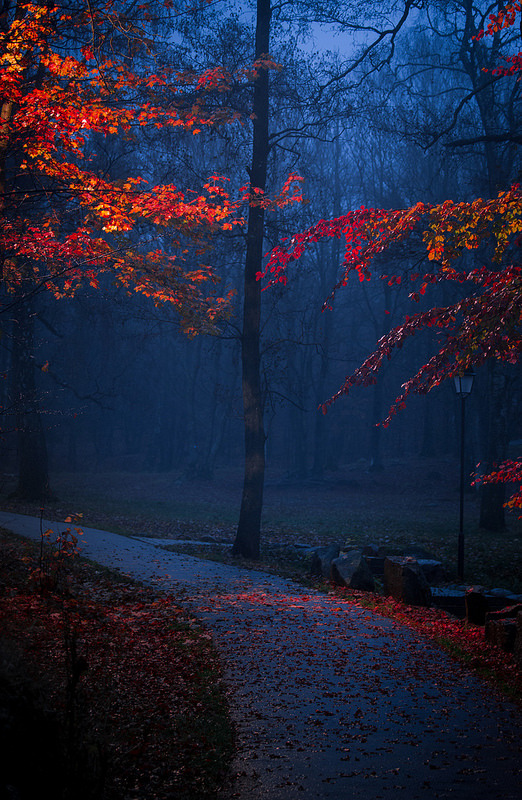 glitteringpumpkin:  🍂🎃 