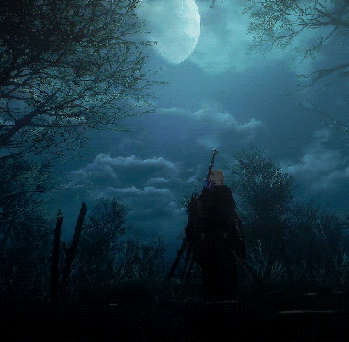 Endless Witcher 3 Scenery 60/