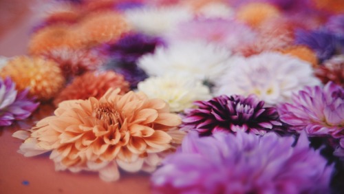 Autumn Colors, In Full Bloom. Just Looking At It Warms Your Heart And Makes You Kinder.