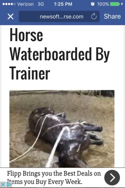 themotherfuckingclickerkid:  Gives a while new meaning to the term ‘flooding’  Anyone else totally not surprised to see this happening in a winning barn?  They must be Trump supporters since they&rsquo;re using &ldquo;MERICAN!&rdquo; torture tactics.