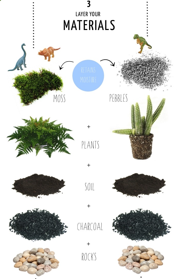 allotment86:  How to make a Terrarium in 4 steps … The size of your container will