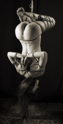 kinbaku-bondage:  Reblogged by tumblr.viewer