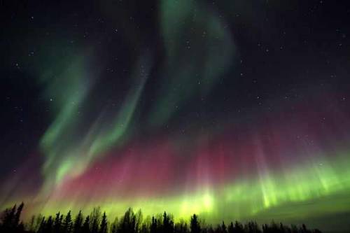 expose-the-light:    Auroras of February and March 